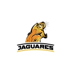 Jaguares Trikot